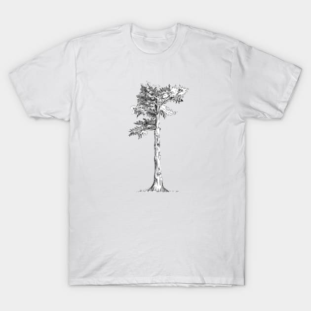 Sentinel Tree Alamo Sq Park San Francisco T-Shirt by tsd-fashion